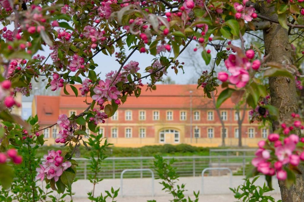 Hotel Vierseithof Luckenwalde Exterior foto